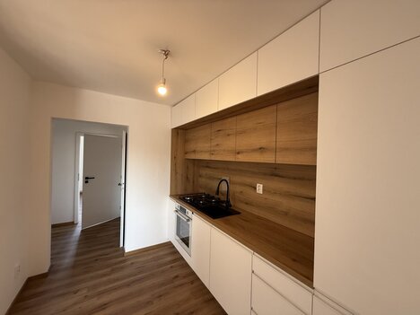 Byt 3+1 s balkonem a zahradou – ideální rodinné bydlení, Čtyři Dvory