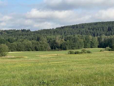 Prodej souboru pozemků o celkové výměře 27 325 m² – Blansko u Kaplice