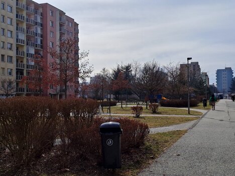 Prodej dr. bytu 2+0 s lodžií, Č.B.