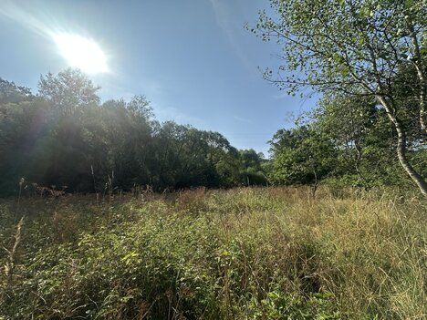 Investiční pozemek 3 500 m² – Blansko u Kaplice