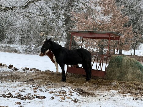 Farma Náhlov by SORENT – prostor pro ty, kteří už nespěchají...