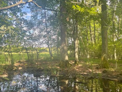 Prodej uceleného souboru pozemků 40ha - Třeboňsko