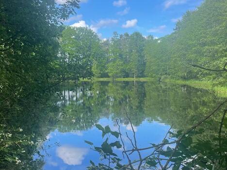 Prodej uceleného souboru pozemků 40ha - Třeboňsko