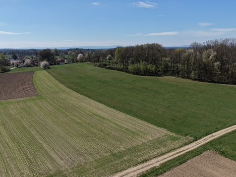 Prodej uceleného souboru pozemků 36ha - Třeboňsko