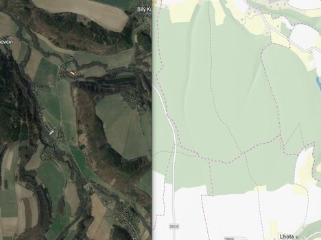 Prodej souboru dvou lesních pozemků s porostem v mýtném věku